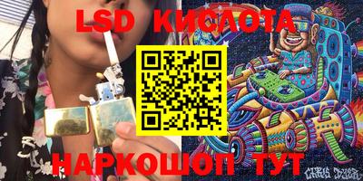 спиды Кингисепп