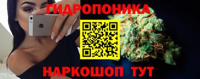 прущие крисы Канаш